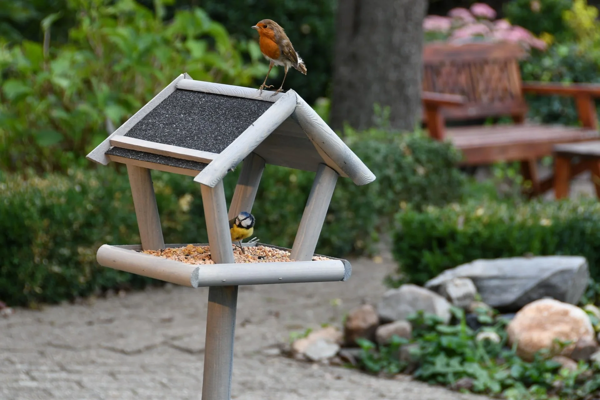 Schweden Vogelfutterhaus auf Ständer schwedengrau lasiert - 2