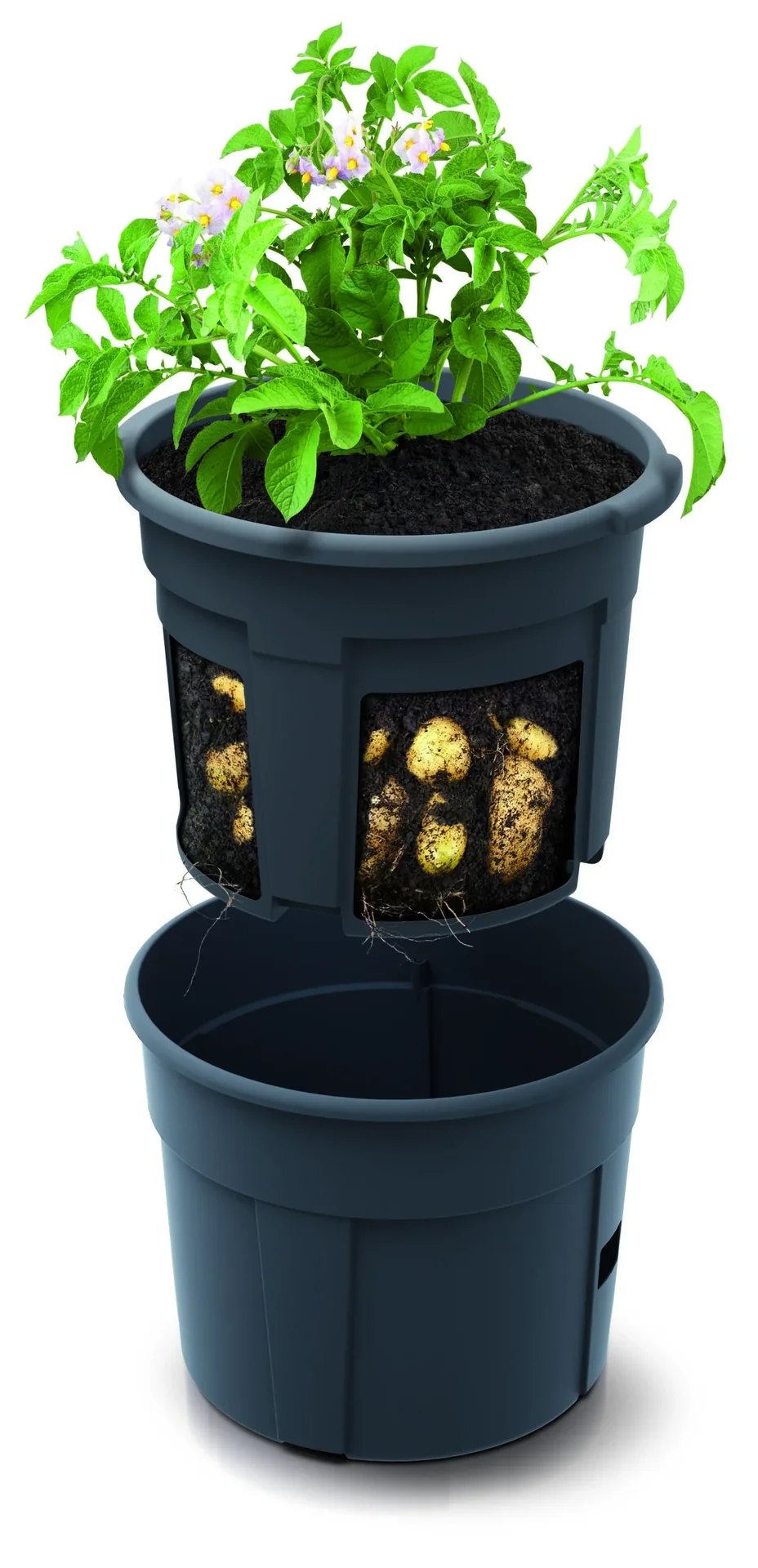 Anzuchttopf für Kartoffeln, Durchmesser 295 mm - anthrazit - 1