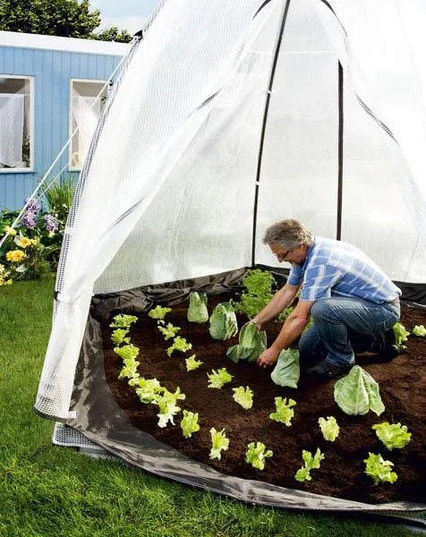 Folien Gewächshaus "Tropical Island", Gr. L - Ø 240, 200 cm hoch - 0