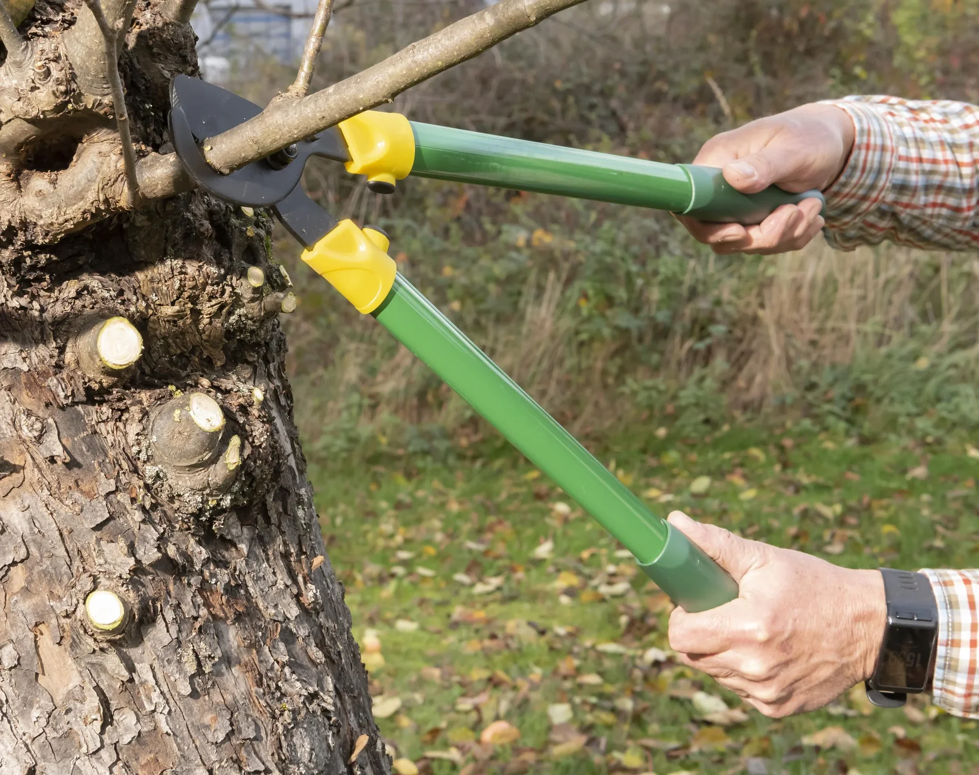 Mini Astschere Bypass 53 cm - 2