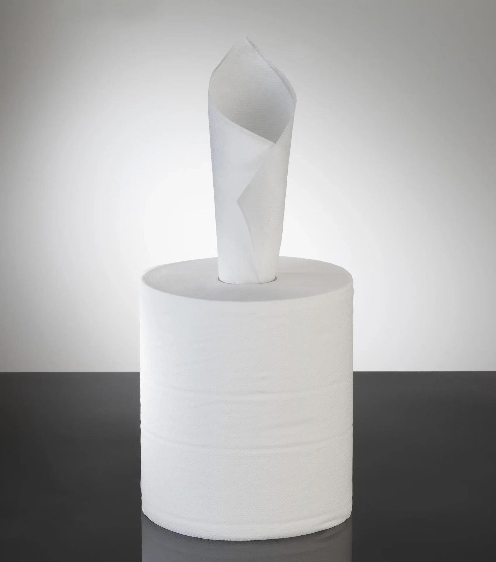 Putzrolle "Home & Hobby", weiß, 2-lagig, 500 Blatt - 4