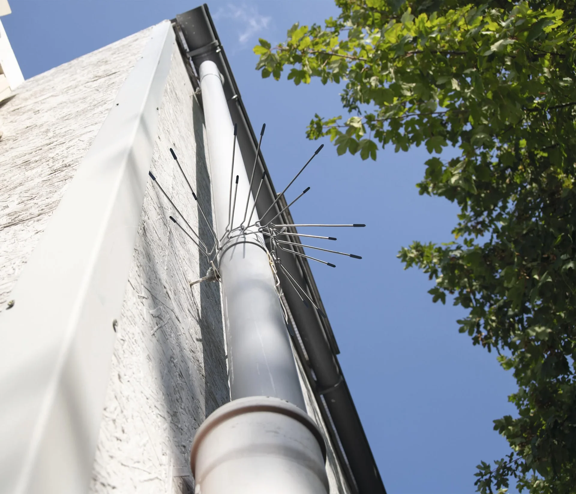 Marder-Abwehrgürtel 2er Set - 0