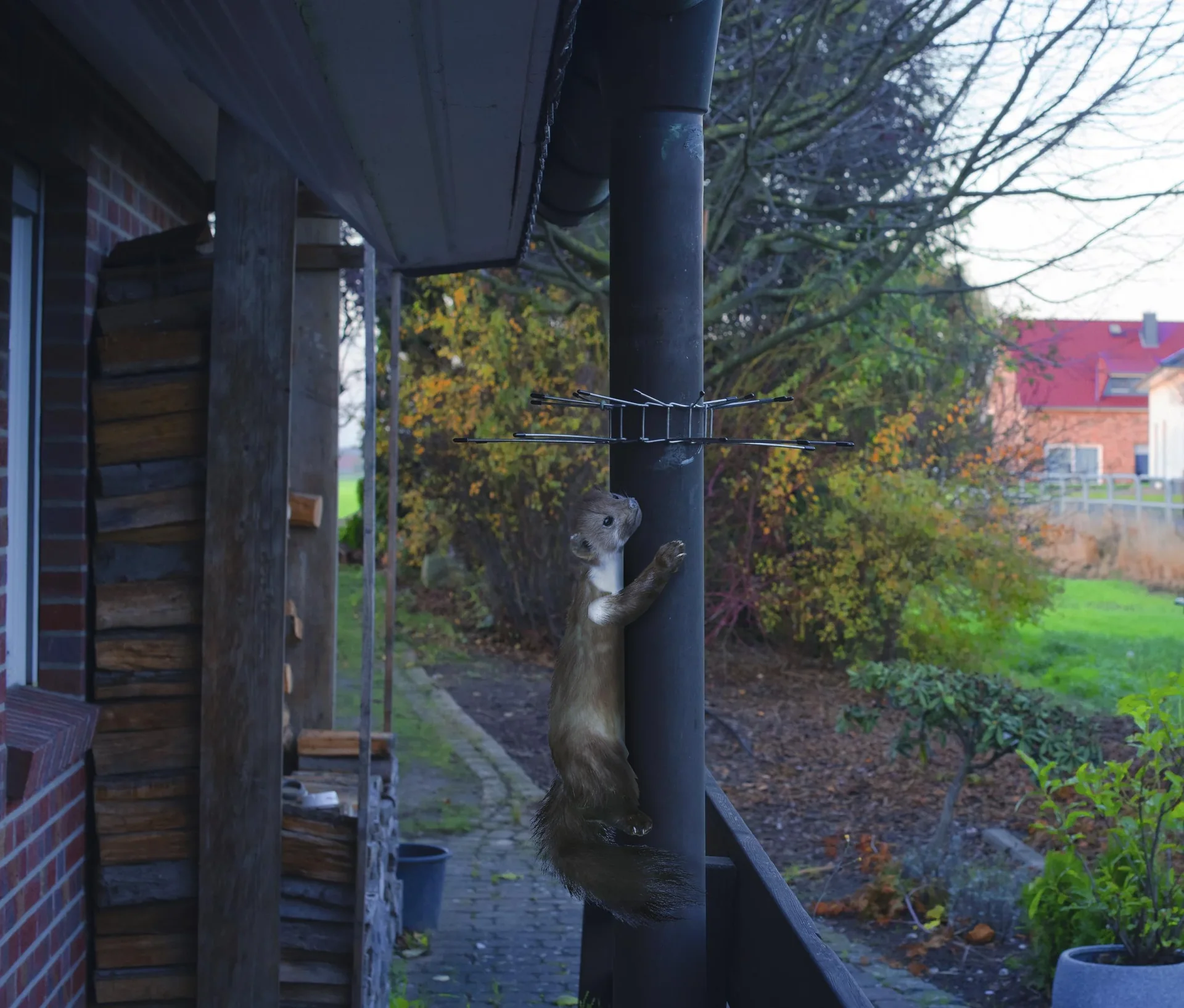 Marder-Abwehrgürtel 2er Set - 7