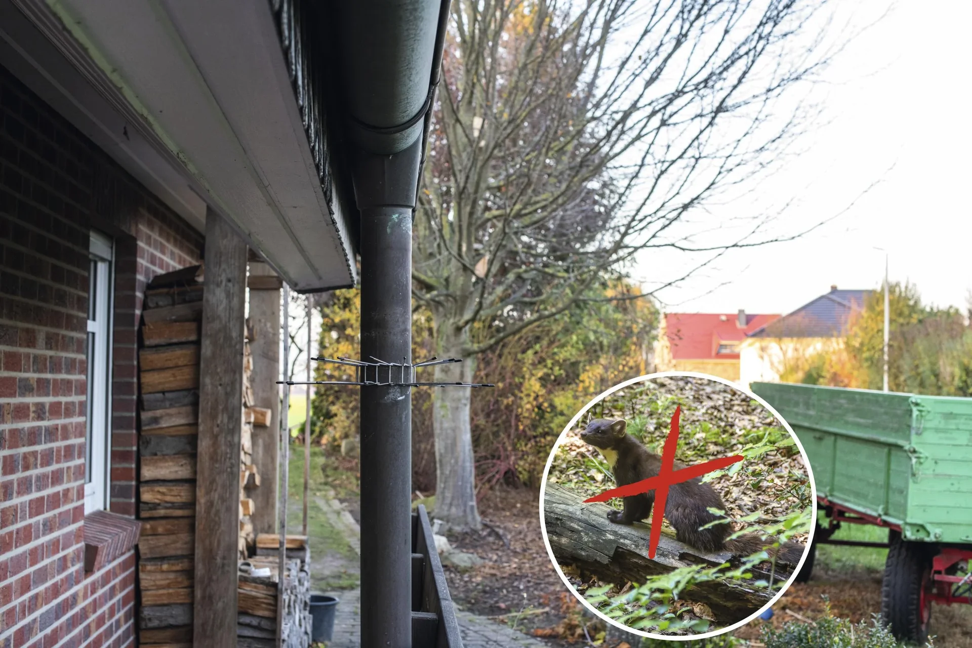 Marder-Abwehrgürtel 2er Set - 8