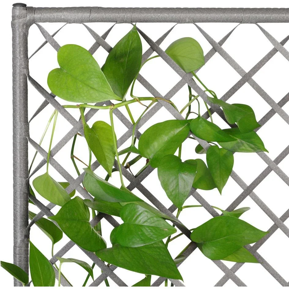 Polyrattan Pflanzgefäß mit Spalier grau - 5