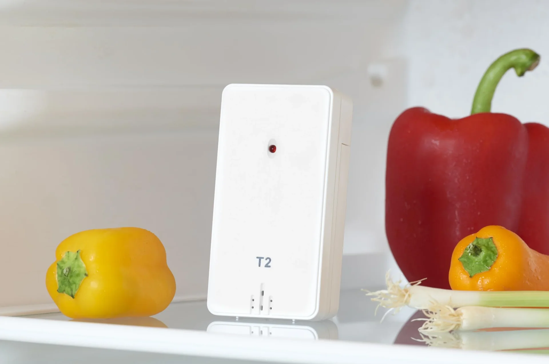 2in1 Funk Digital-Kühl/Gefrierthermometer - 1