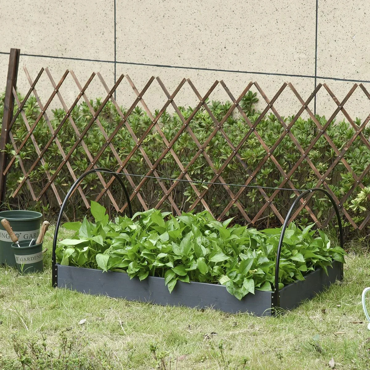 Gewächshaus mit Fenster 12 Gitter Treibhaus Tomatenhaus Frühbeet PVC Stahl Transparent 120 x 79 x 53 cm - 0