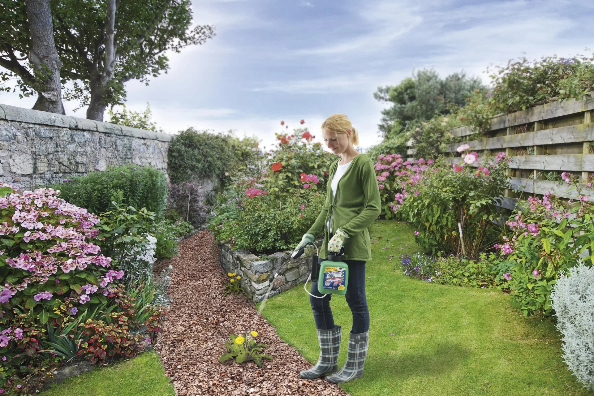 Unkrautfrei "Speed" im Drucksprühgerät - mit wurzeltiefer Wirkung - 1