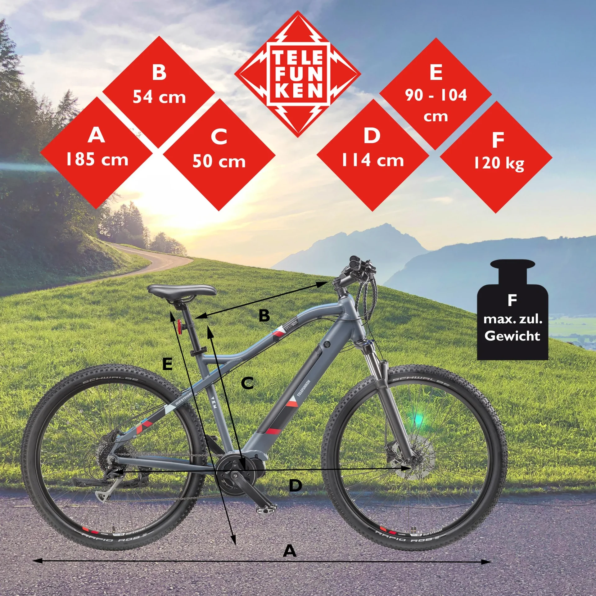 Unisex Alu MTB E-Bike, 29 Zoll, 8-Gang Kettenschaltung, grau, Aufsteiger M925 Hardtail - 3
