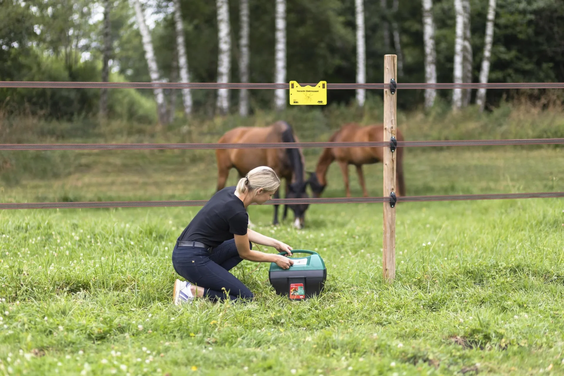 AKO Mobil Power AD 3000 12V Akkugerät - 10