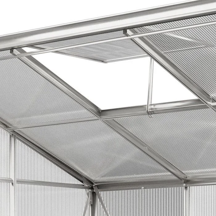 Aluminium-Seitengewächshaus 192x127x202cm mit Fenster - 3