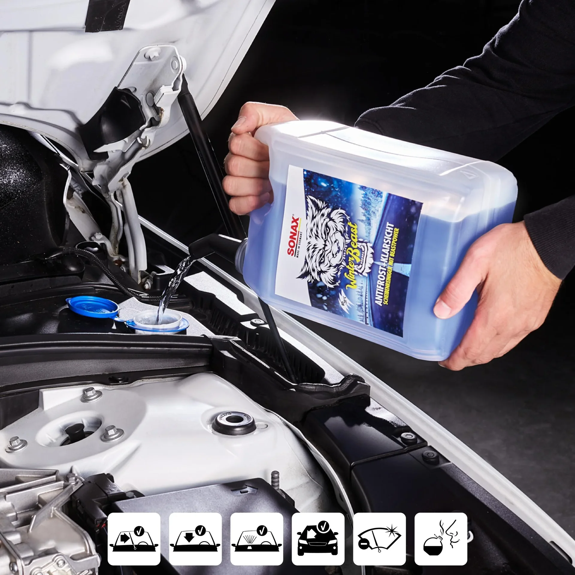 AntiFrost und KlarSicht - "Winter Beast" -20°C, 5 Liter - 1