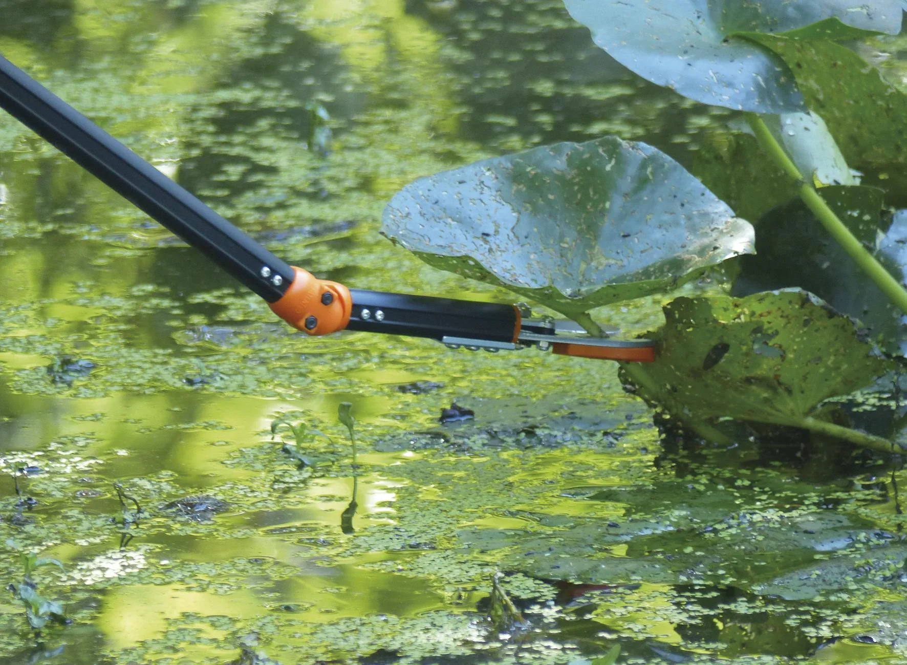 Rosenkavalier "teleskopierbar" - 3