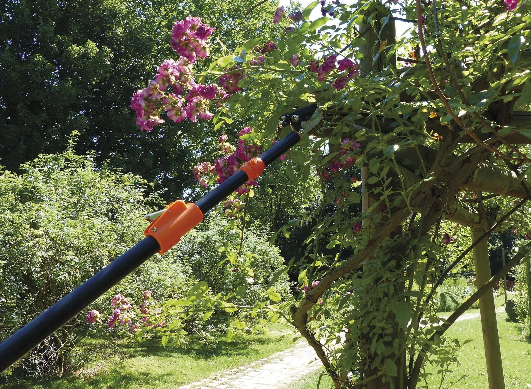 Rosenkavalier "teleskopierbar" - 4