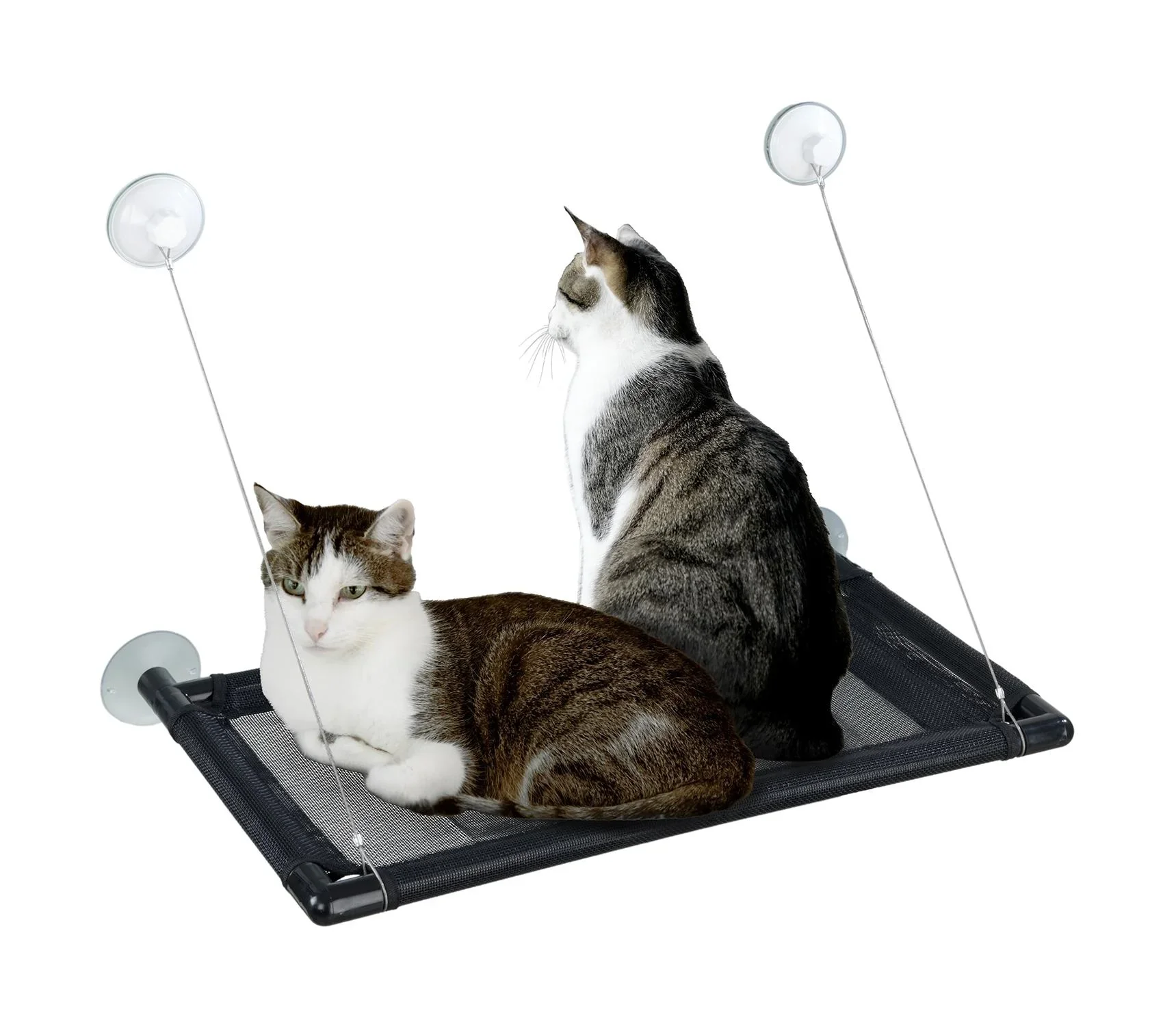 Katzen-Hängematte XXL - 7