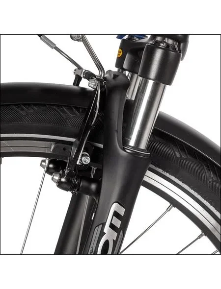 Unisex City E-Bike, 28 Zoll, Rahmenhöhe 50 cm, 7-Gang Nabenschaltung, silber, Hamburg - 5