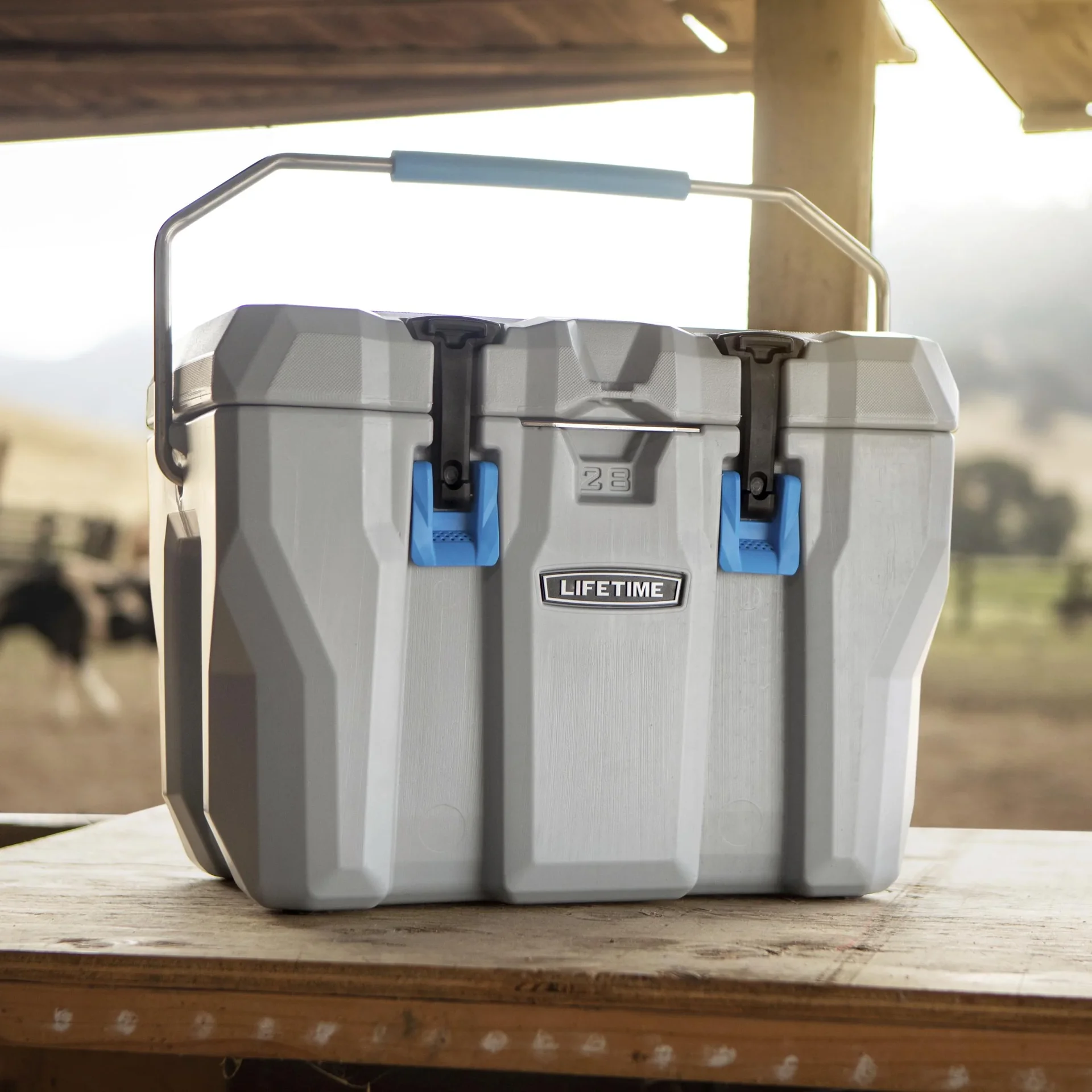 Kunststoff Kühlbox grau, 26,5 Liter Volumen - 2