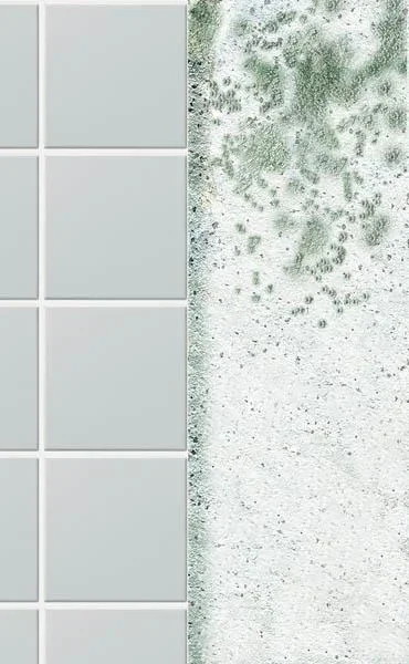 Schimmelentferner mit Sprühaufsatz, 0,5 Liter - 2