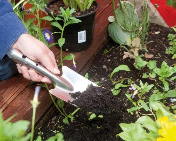 Pflanzkelle aus Edelstahl - 1