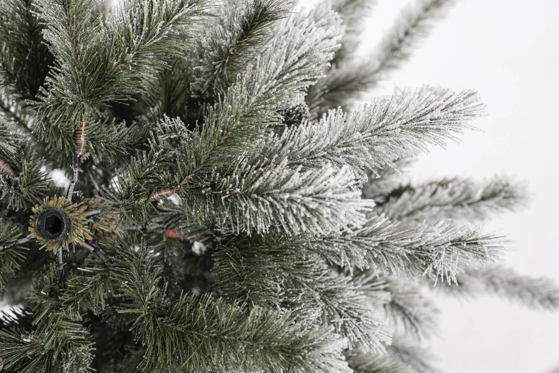 Weihnachtsbaum Cedar Kiefer Frost 150 cm - 0
