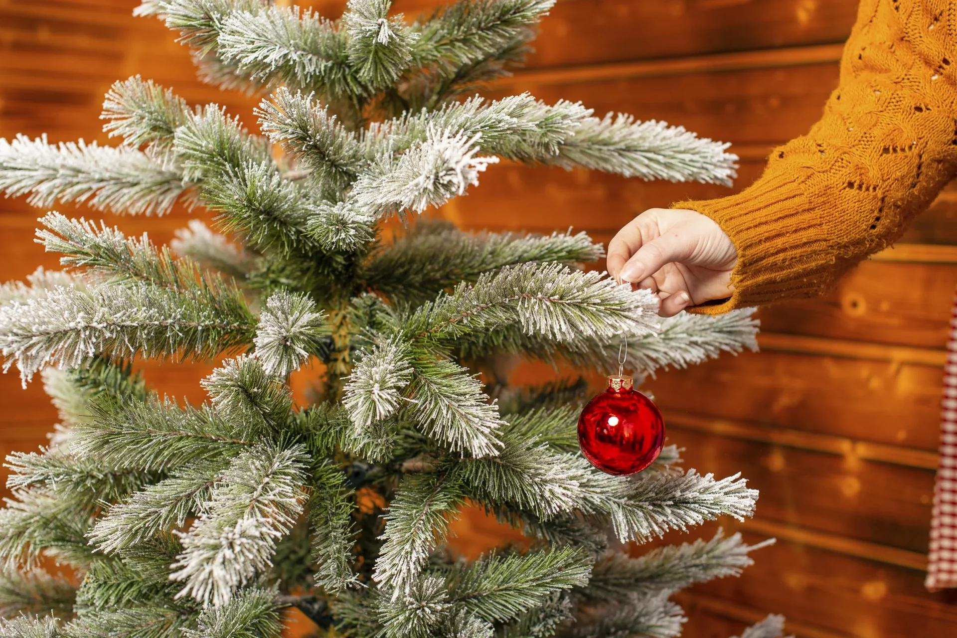 Weihnachtsbaum Cedar Kiefer Frost 150 cm - 2