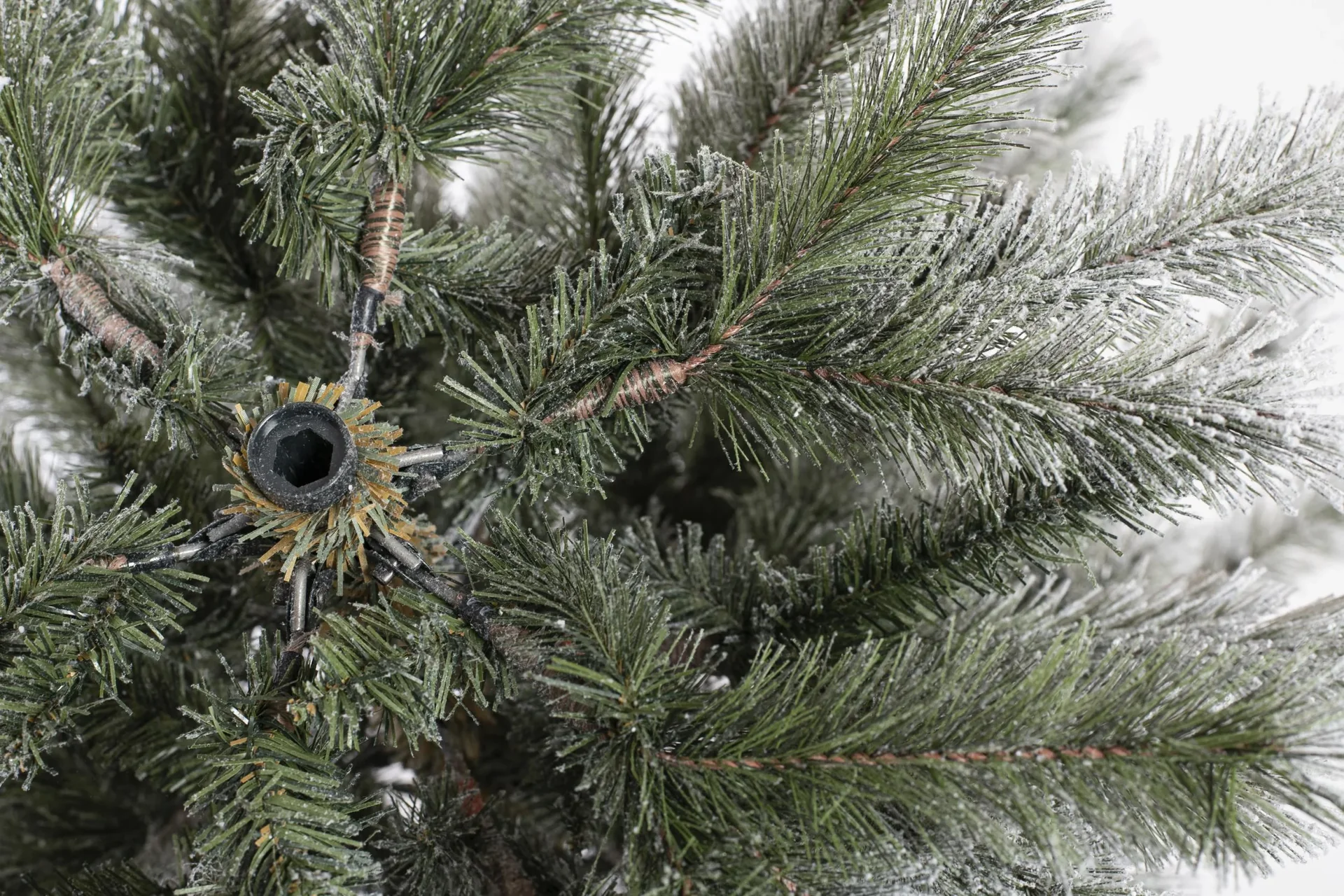 Weihnachtsbaum Cedar Kiefer Frost 150 cm - 4