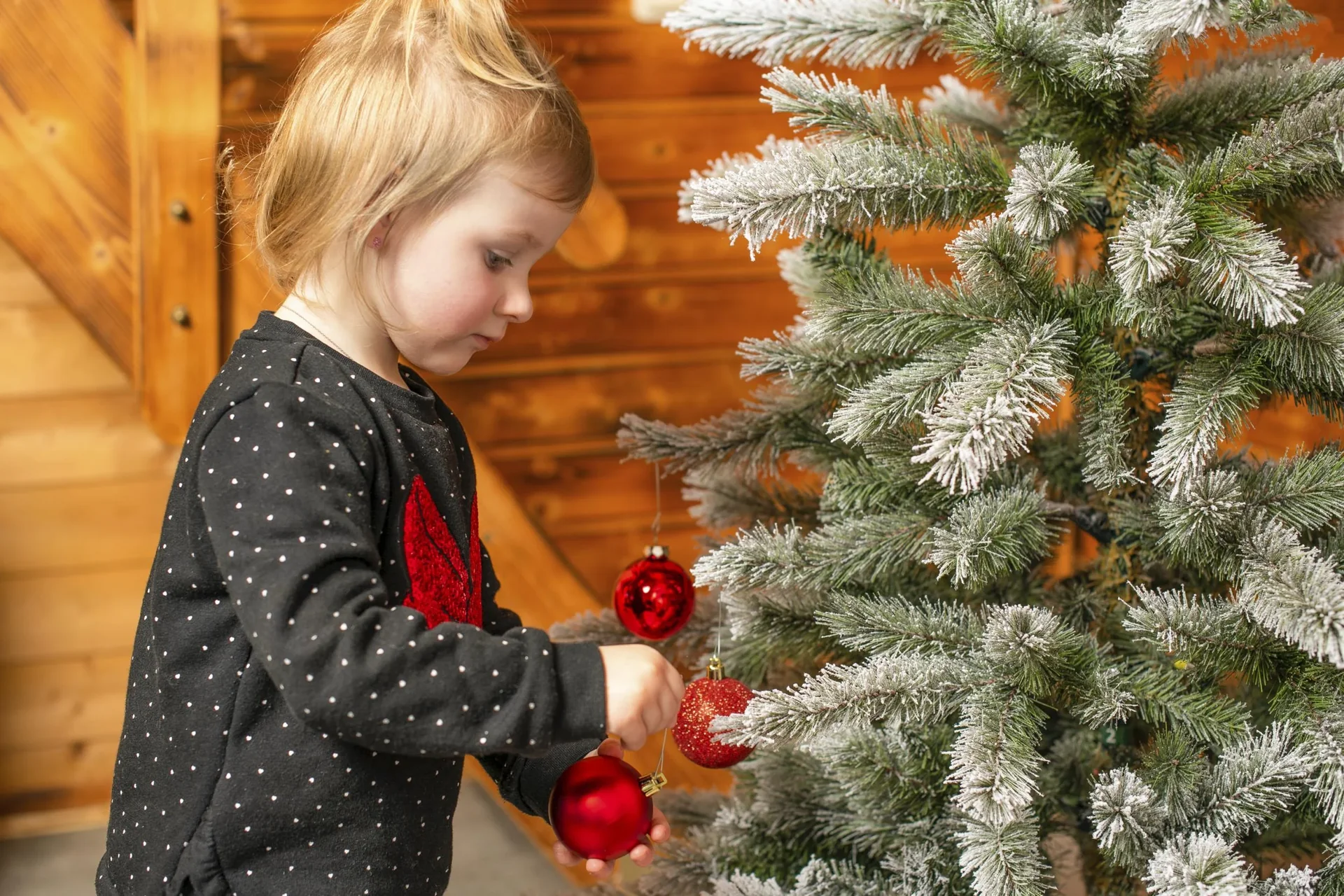 Weihnachtsbaum Cedar Kiefer Frost 150 cm - 6