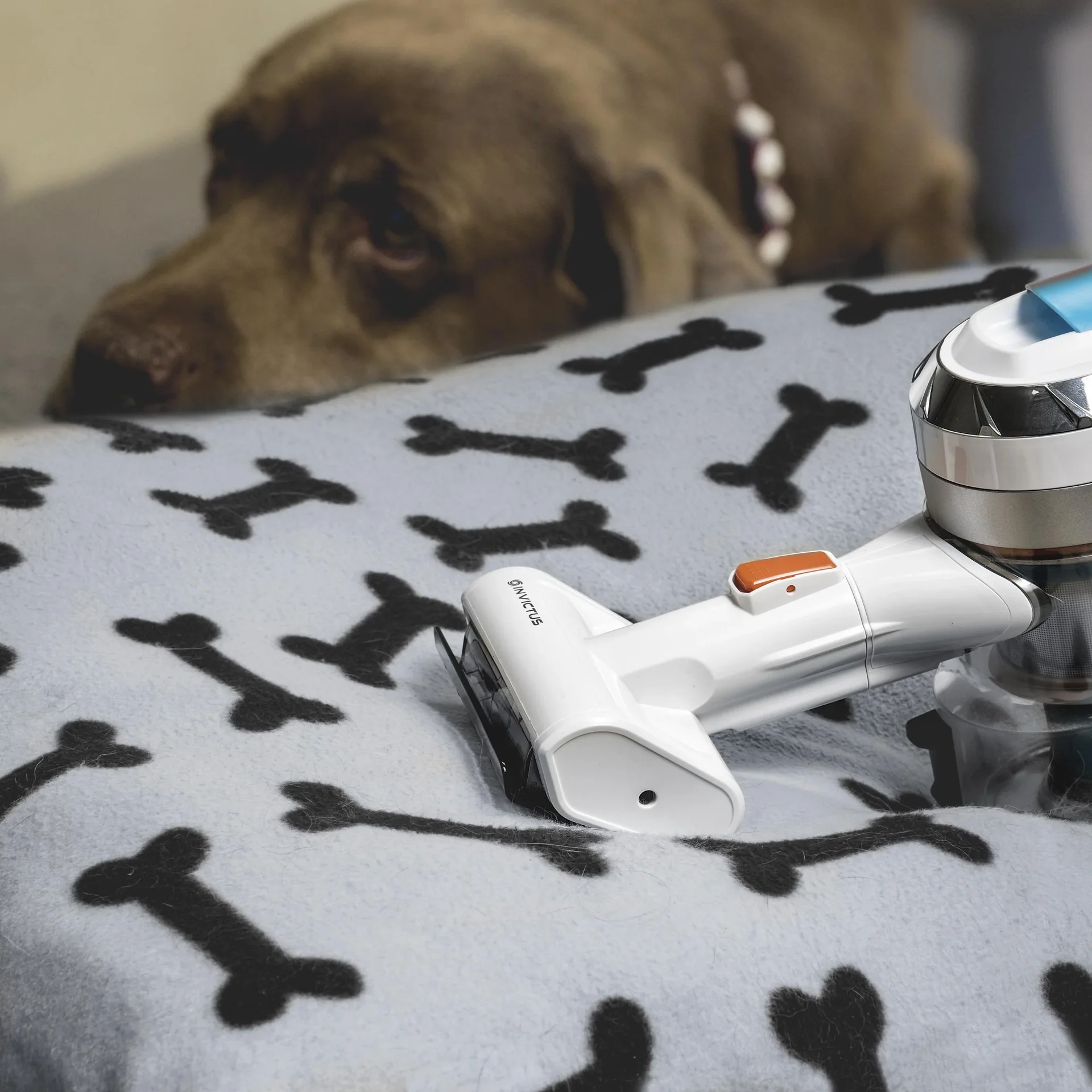 Akku Zyklon-Staubsauger,Invictus X7, 25,2 V, 14-teilig - 5