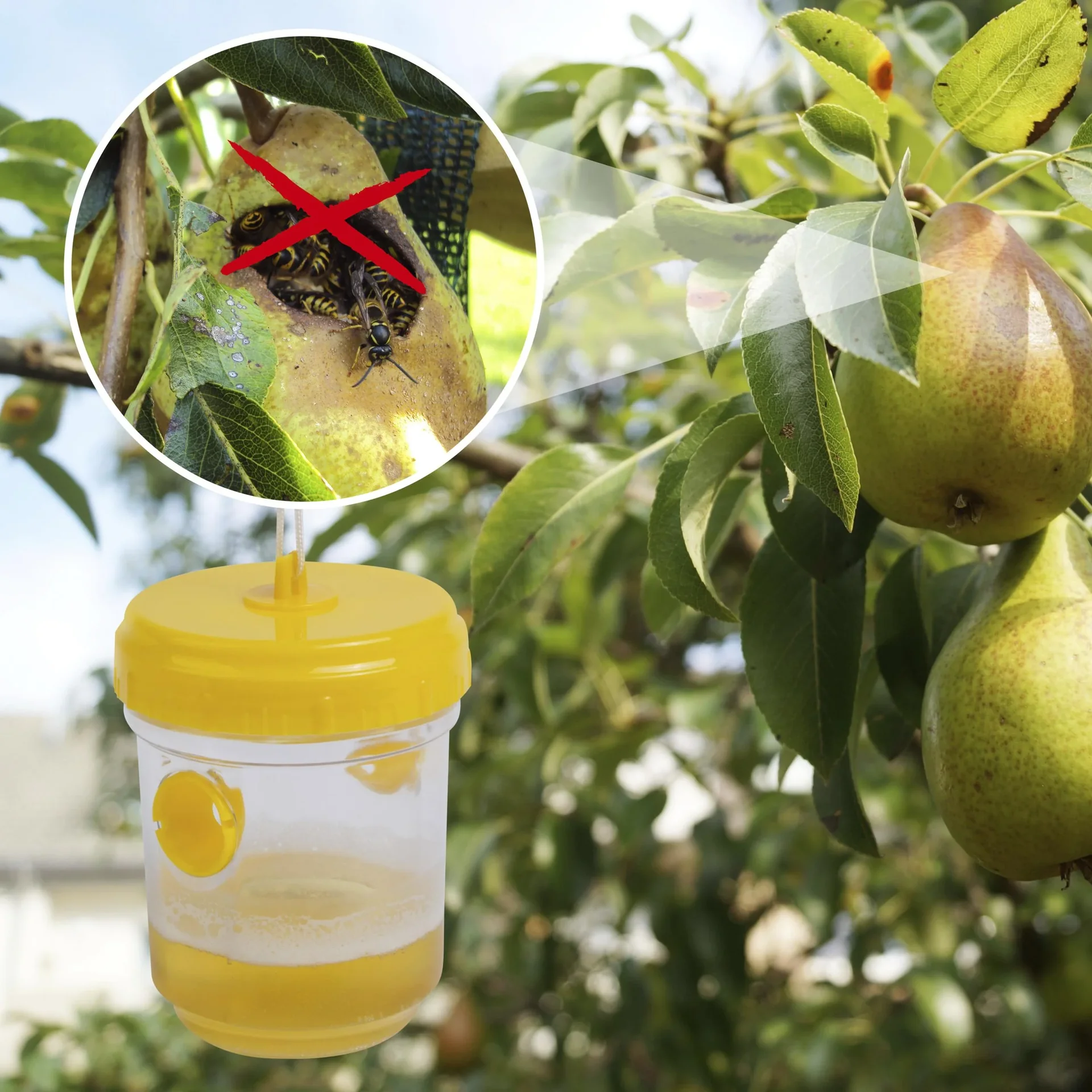 Wespenfalle 2er-Set - 2