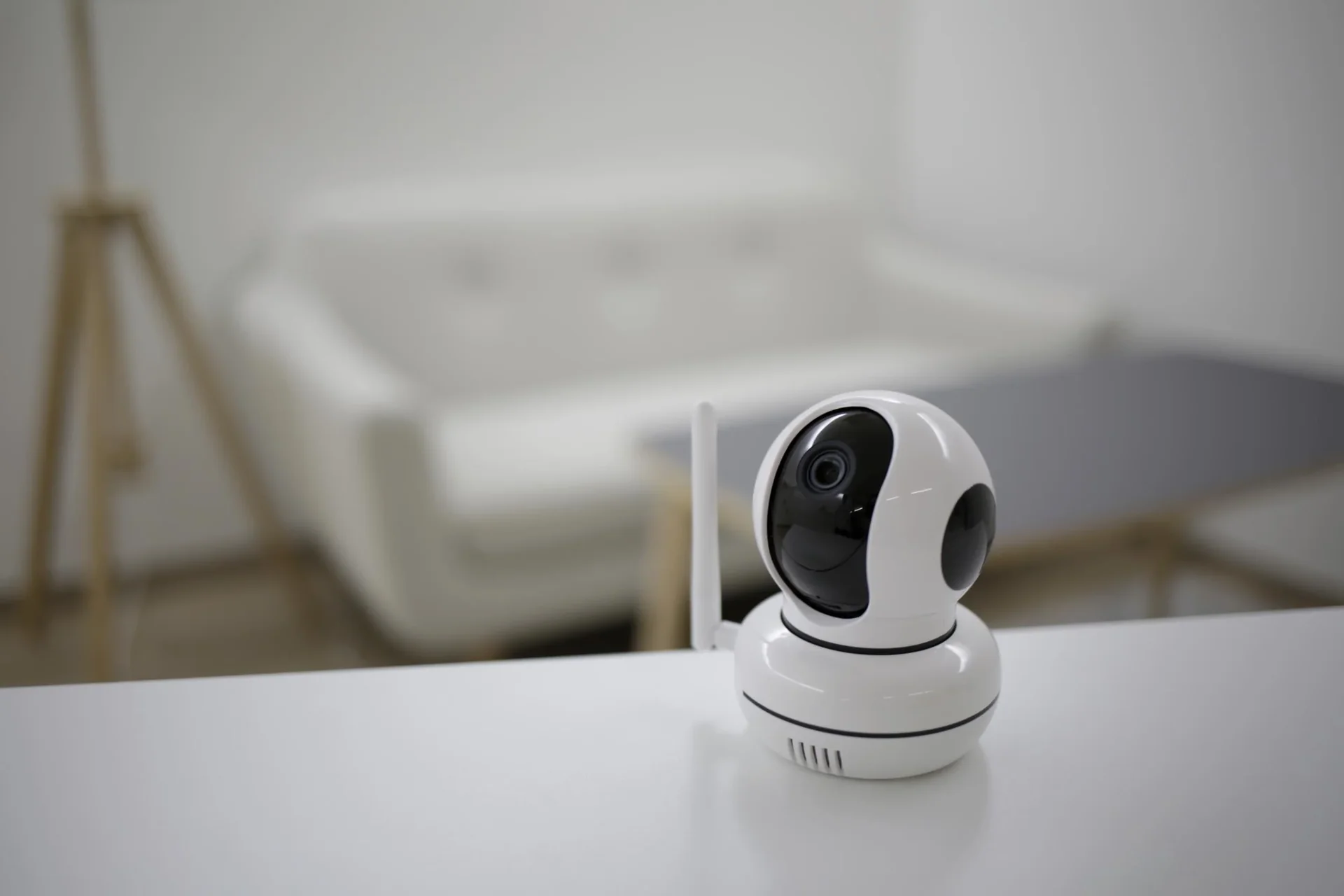 Überwachungskamera IP Cam Pet - 1