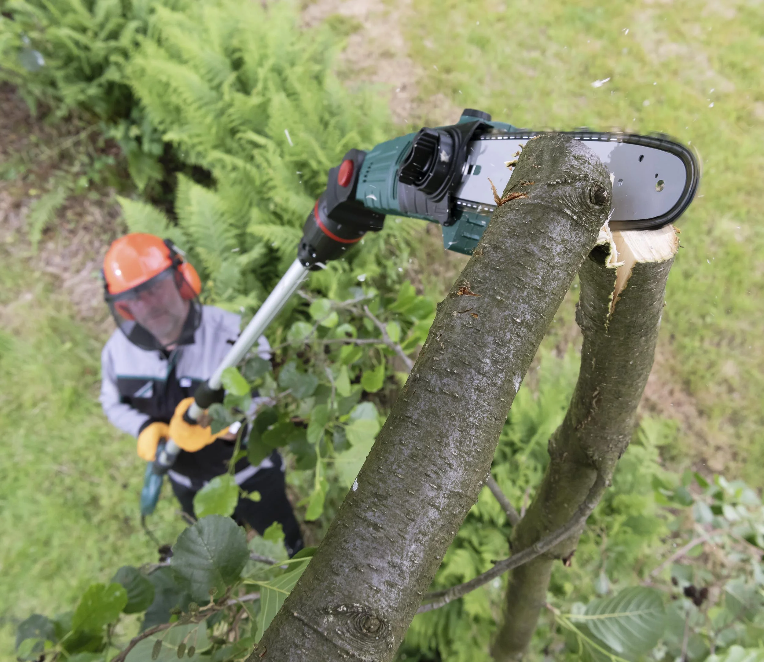 3D Baum- und Heckenpflege Set mit Teleskop - Multihandgriff - 0