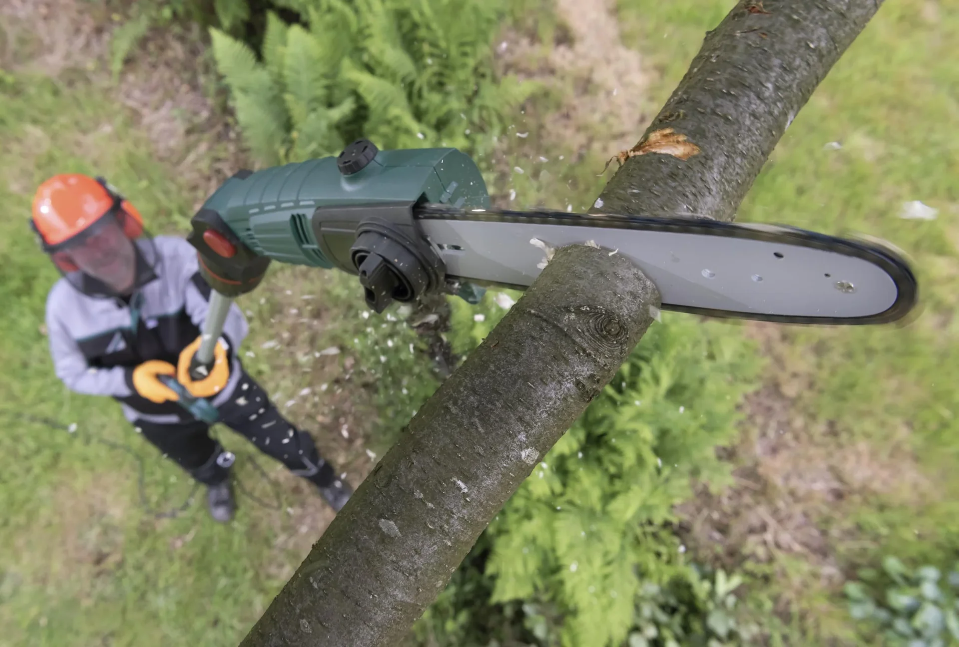 3D Baum- und Heckenpflege Set mit Teleskop - Multihandgriff - 2