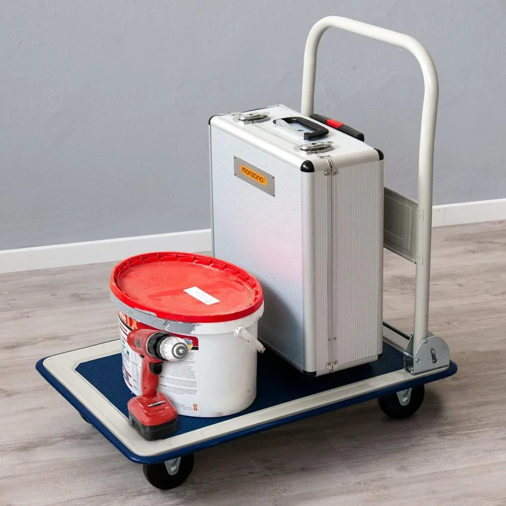 Plattformwagen 150 kg - 1