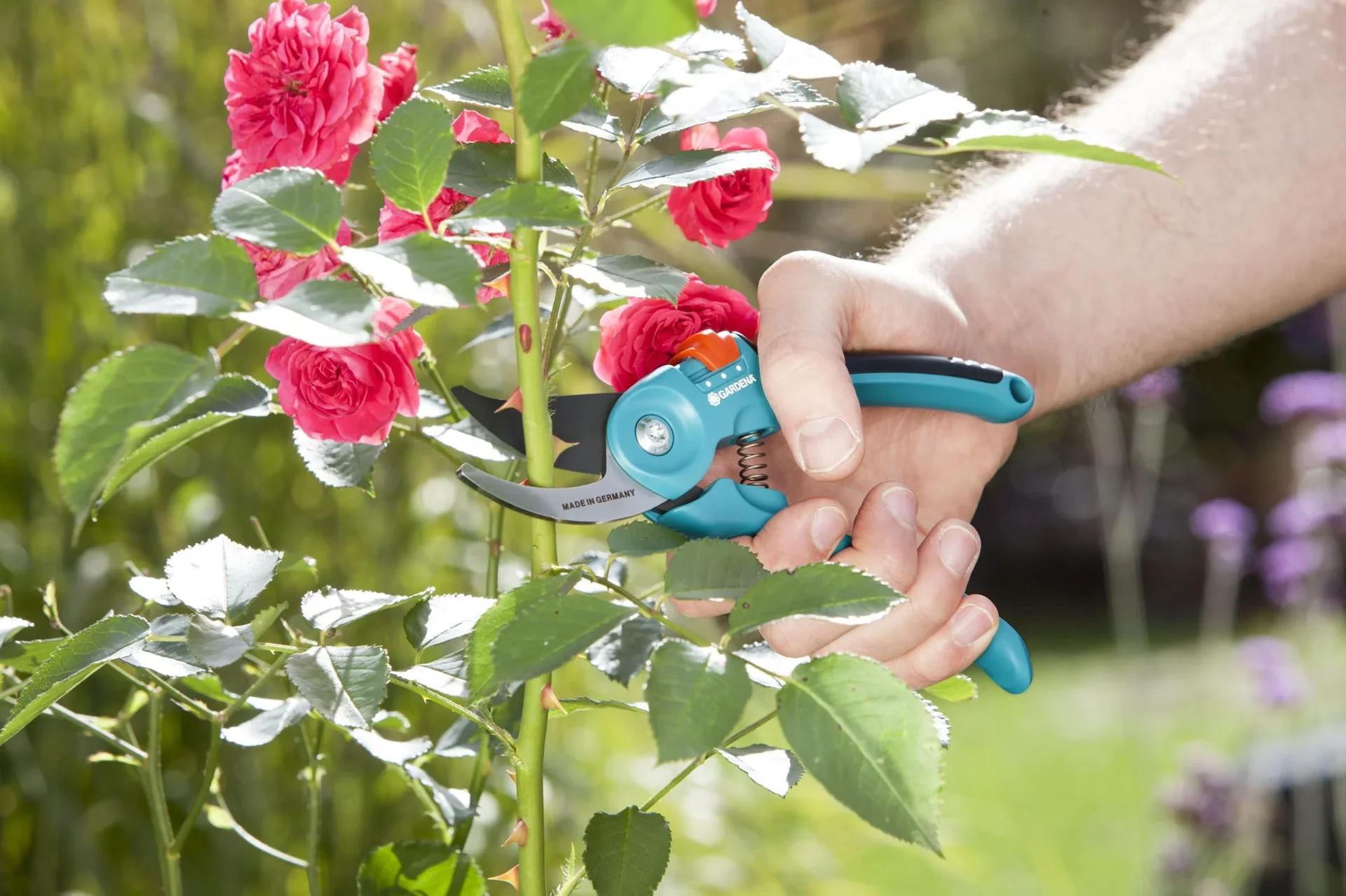 Classic Gartenschere Bypass, Handgröße S-M - 0