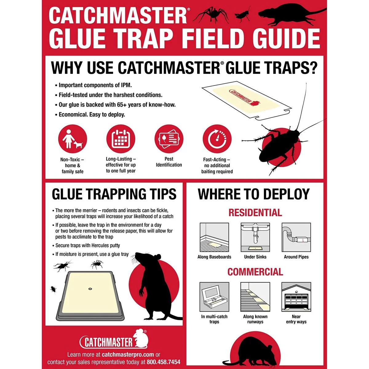 Catchmaster Maus Klebefallen - Erdnussbutter - 1