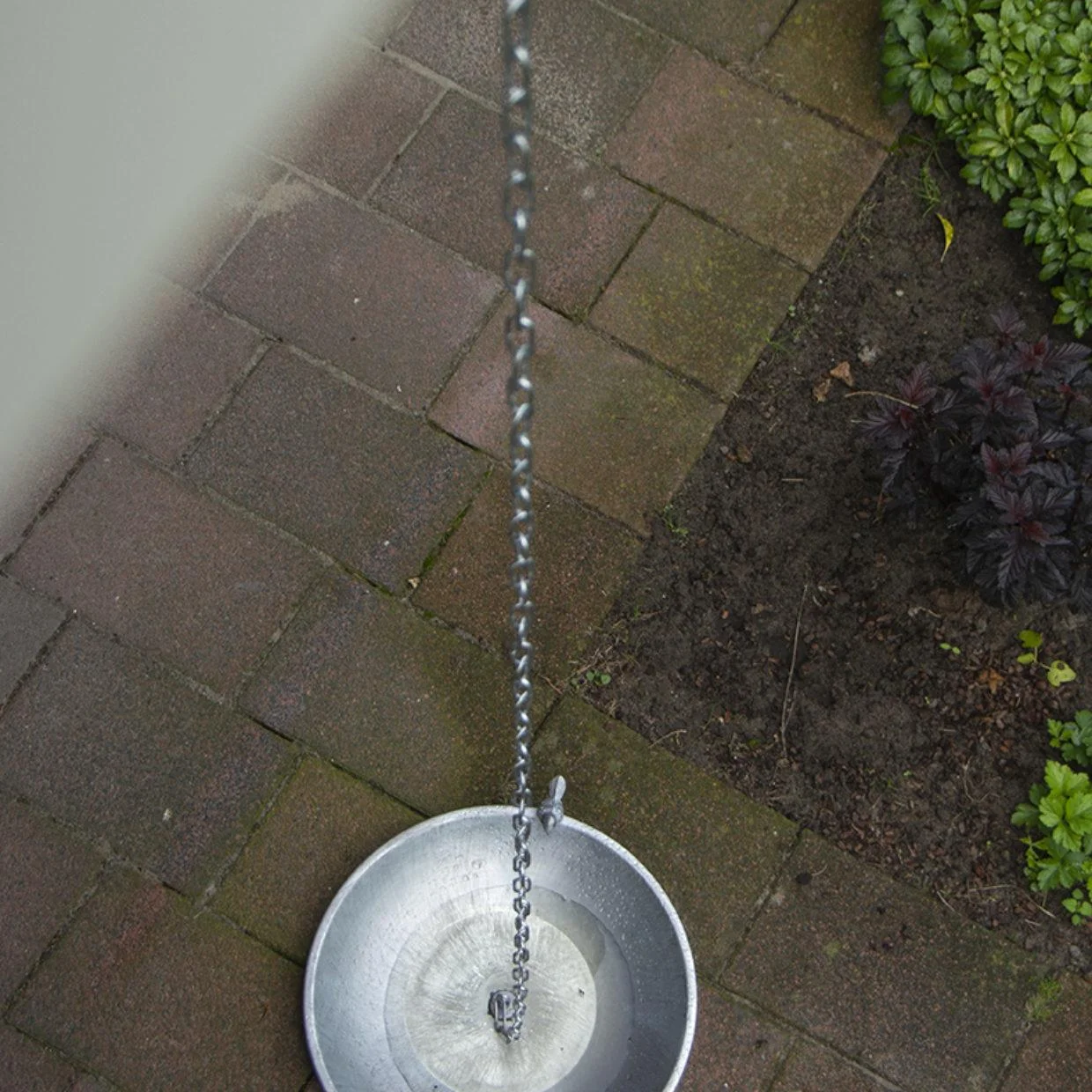 Regenwasserkette mit Vogeltränke - 1