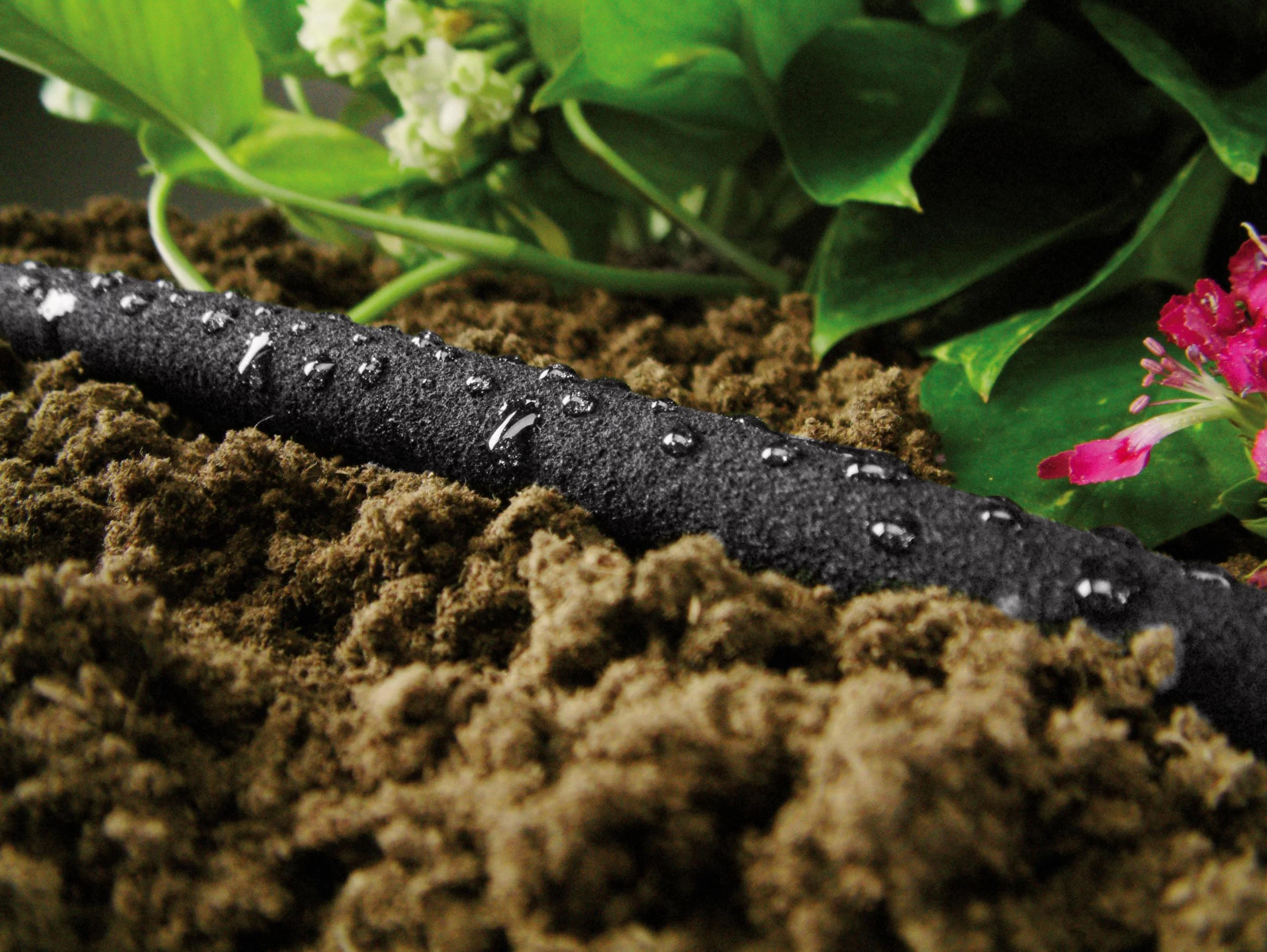 Verflüssigungsschlauch DRIP 1/2" - Länge 15m - 1