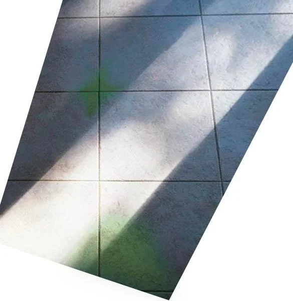 Schimmelstop, 500 ml Sprühflasche - 0