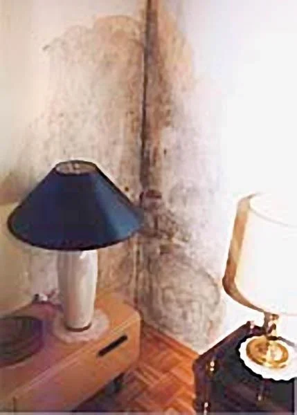 Schimmelstop, 500 ml Sprühflasche - 2