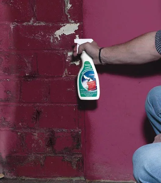 Schimmelstop, 500 ml Sprühflasche - 4