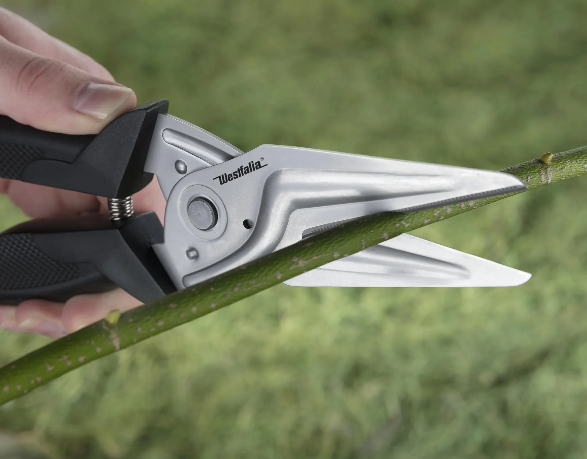 Allzweckschere-Titan - 4