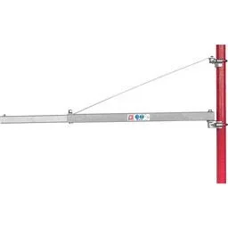 ESZ500D Elektrische Winde mit Schwenkarm - 0