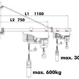 ESZ500D Elektrische Winde mit Schwenkarm - 1