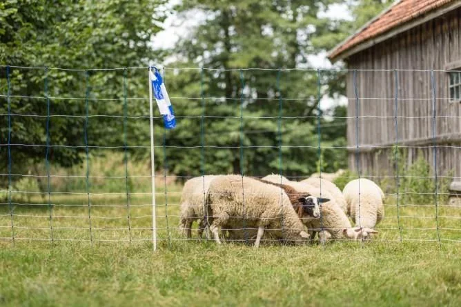 Herdenschutzband blau-weiß, 100m - 0