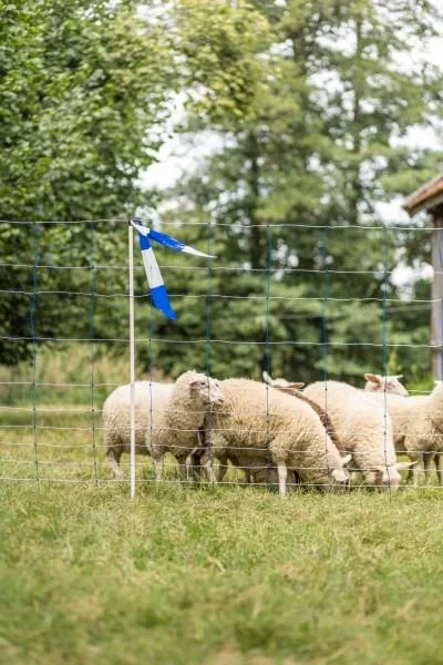 Herdenschutzband blau-weiß, 100m - 1