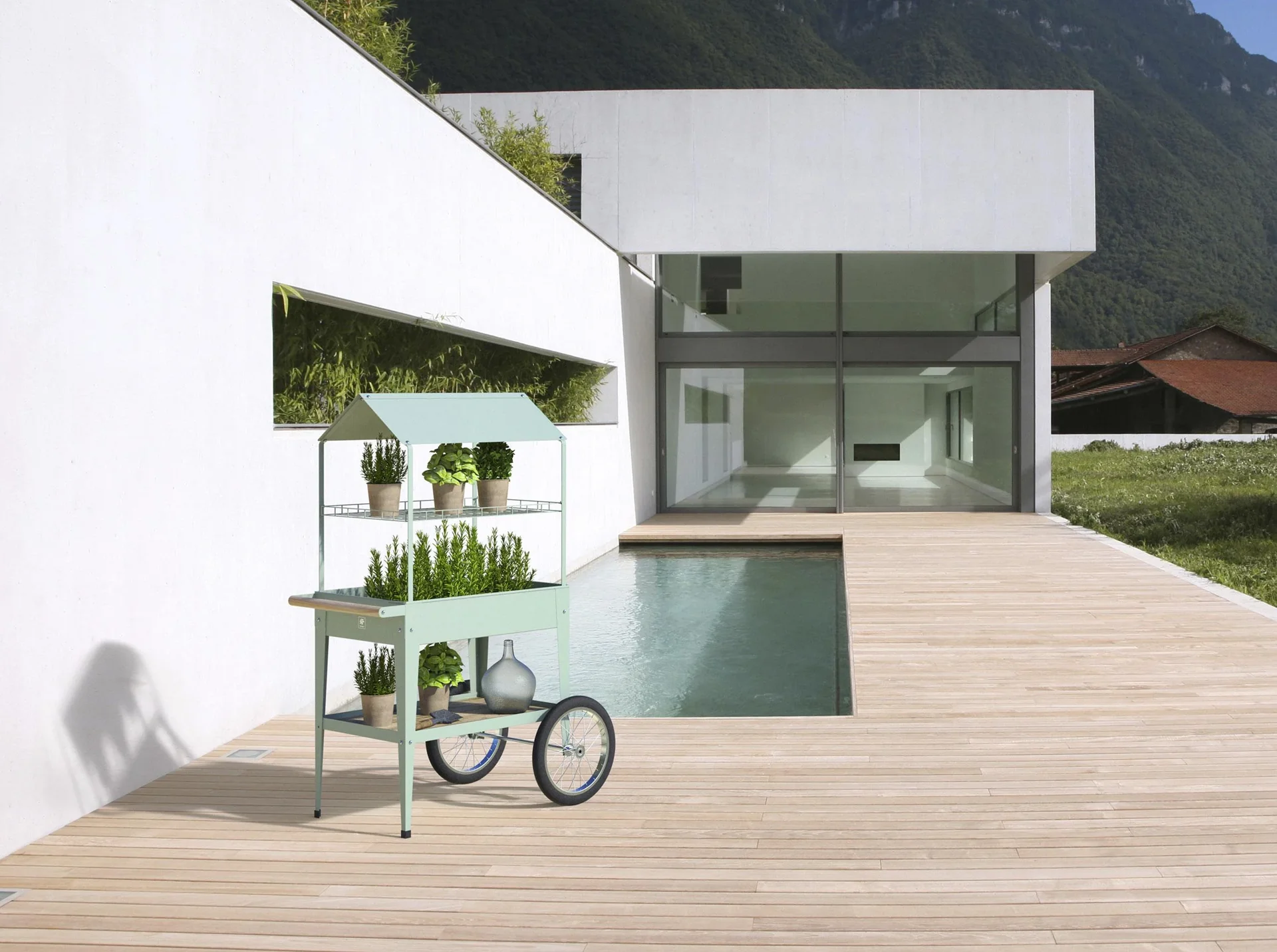 Urban Kräuterfabrik Expert Kaktus - 0