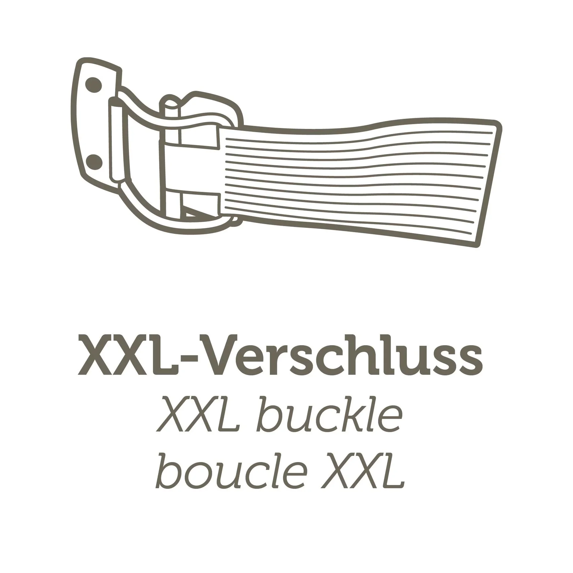 Springform mit Glasboden Energy 26 cm - 6