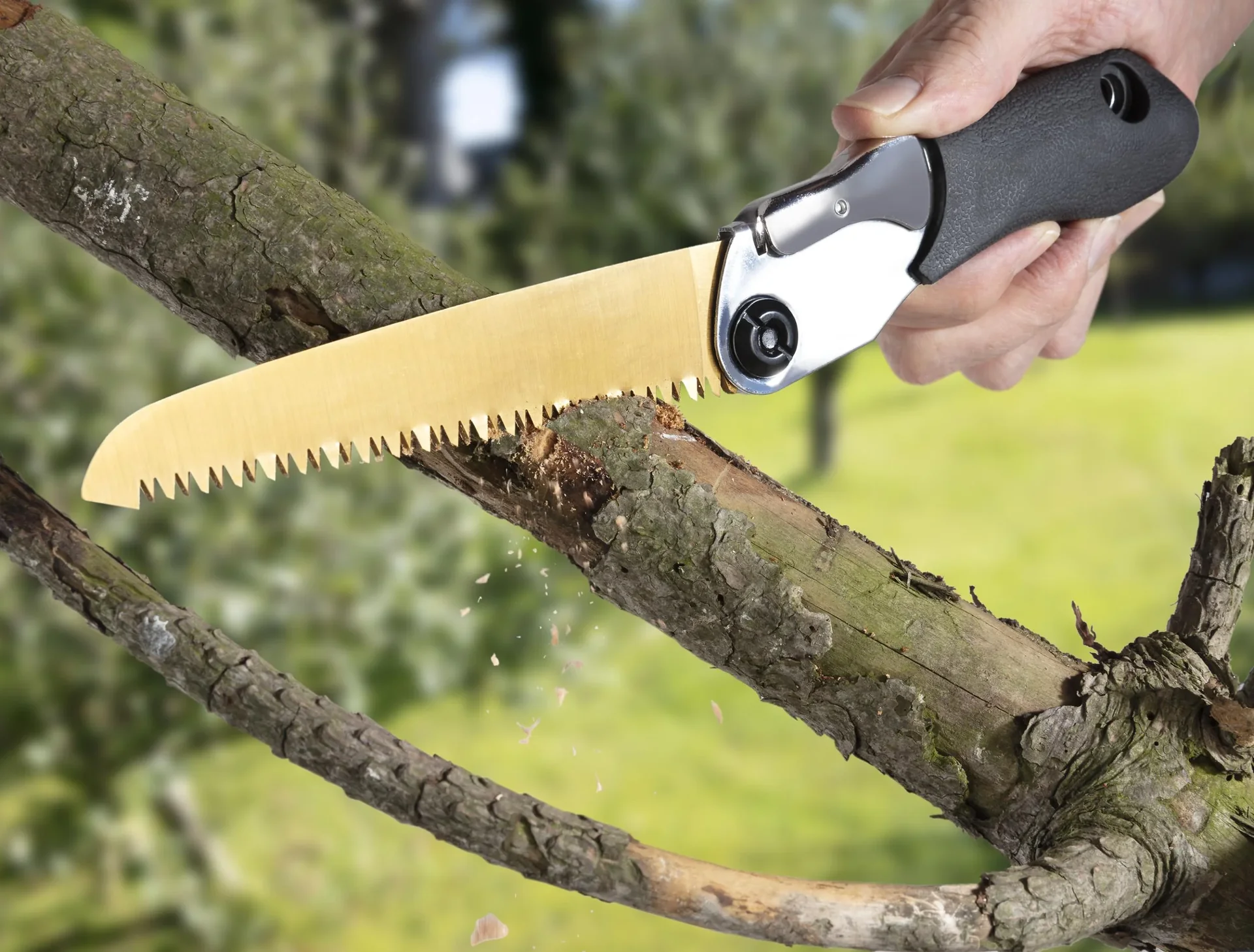 Titan-Jubiläums-Set, 8-teilig - 1