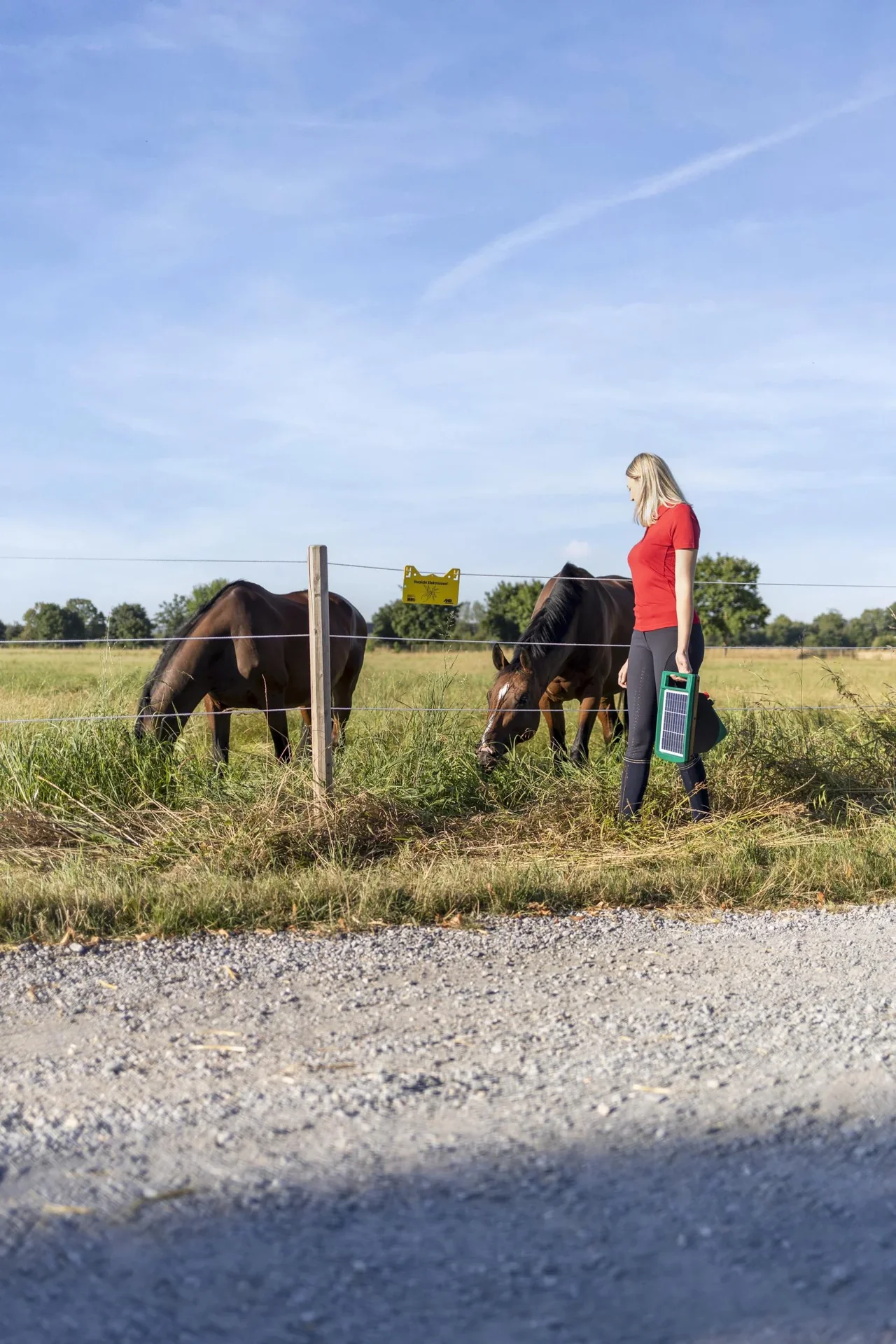 Weidezaungerät SunPower S1000 - 4