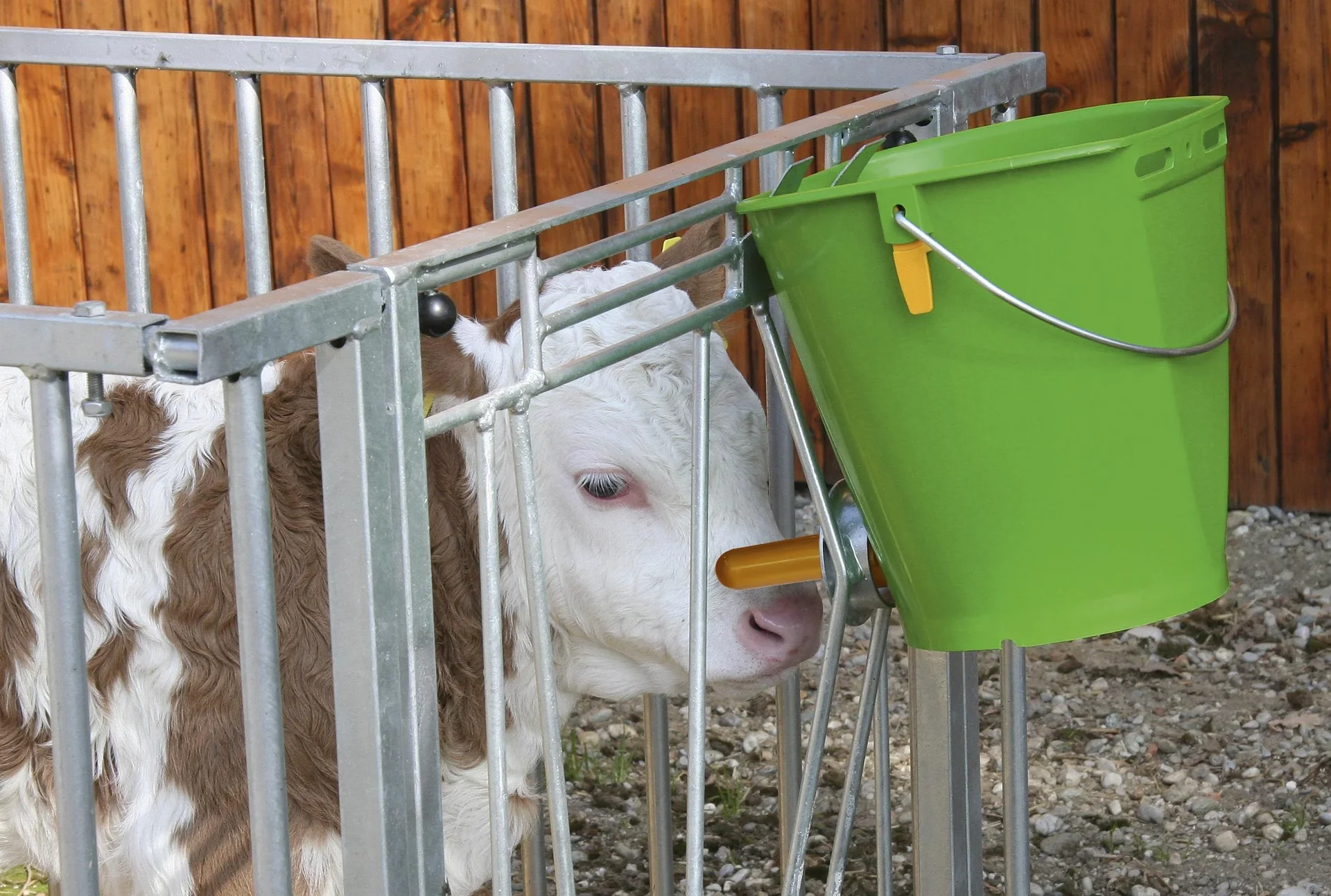 Hygiene Tränkeeimer mit Klapp-Ventil für Kälber - 0
